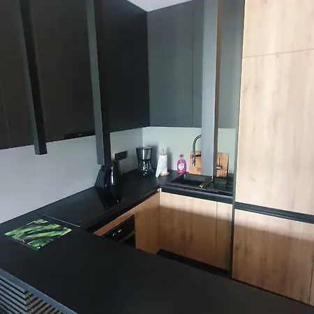 Szyndzielnia アパート ビエルスコ・ビアバ